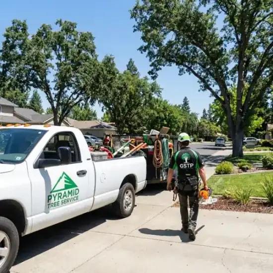 Tree service crew and truck on a residential job