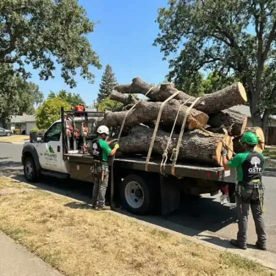 Tree service truck loaded on a residential job